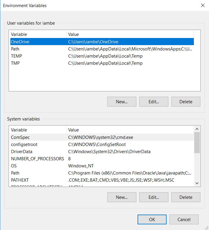 environment variables windows