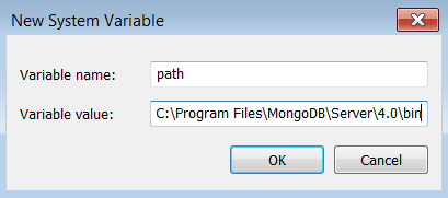 Python MongoDB Connection