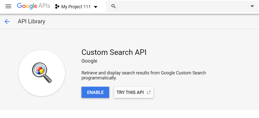 Google Custom Search API Python